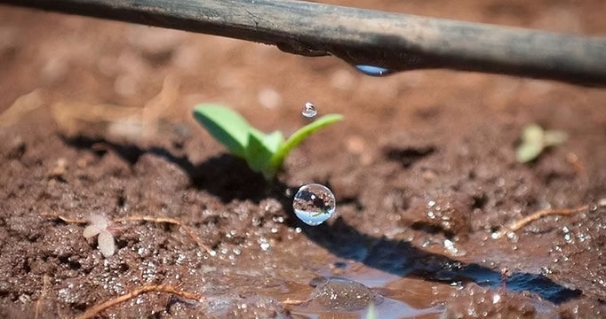 044bce_aedf64b1f714401dbb904a17043abbe9_mv2